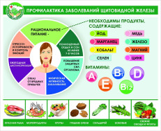 Неделя профилактики заболеваний эндокринной системы